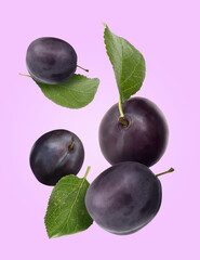 Tasty fresh plums and green leaves falling on violet background