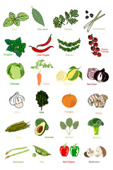 Collection of vegetables vector eps