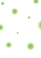 Green Polka dot pattern. Design green and white. Abstract background. Green polka dot with white background. 