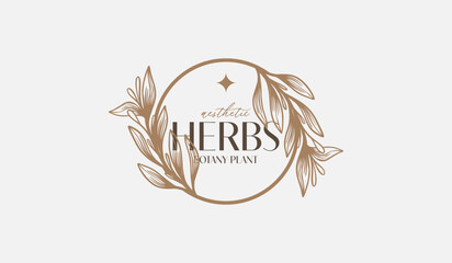 Abstract Plant Botanical Flower Line Art Line Drawing. Universal creative premium symbol. Vector illustration. Creative Minimal design template