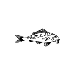 fish illustration vector with concept