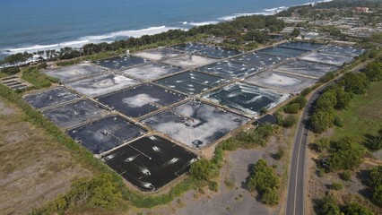 aerial view, shrimp ponds adjacent to the south coast of Yogyakarta. To become the largest shrimp...