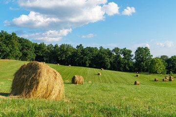 Bales of hay in a rolling field with the treeline and cloudscape in the distance