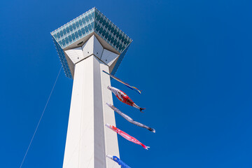 Goryokaku Park Tower in springtime cherry blossom full bloom season sunny day with clear blue sky, the beautiful star shaped fort in Hakodate City, Hokkaido, Japan