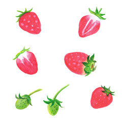 Strawberry watercolor hand painting