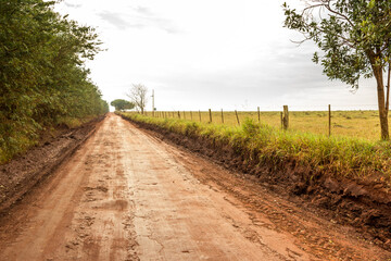 Fototapeta na wymiar Dirt road in rural area with fence dividing route of crops and trees