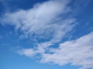 東京のそら(23.1.31)