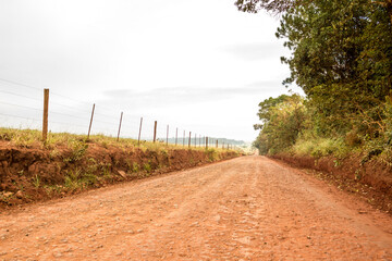 Dirt road in rural area with fence dividing route of crops and trees
