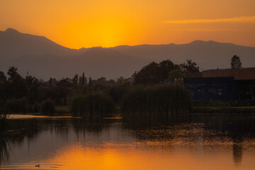 Atardecer en lago bosque 