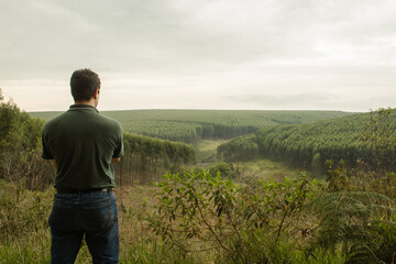 Farmer from behind looking to green hills with eucalyptus forest and cerrado areas - obrazy, fototapety, plakaty