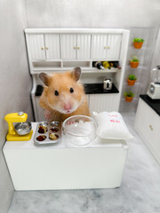 Cute Syrian hamster baking muffins in a white and grey kitchen