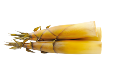 Bamboo shoot isolated on transparent png