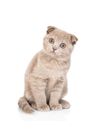 Fototapeta premium Curious kitten sits in front view and looks at camera tilting it head. isolated on white background