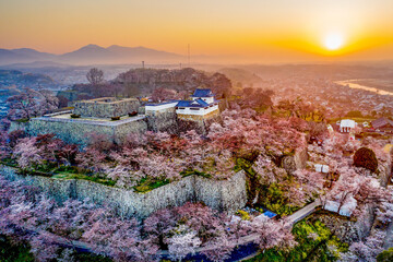 鶴山公園の津山城と桜の朝