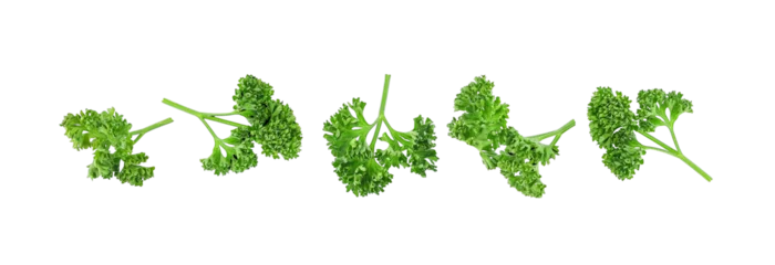 Abwaschbare Fototapete Frisches Gemüse Fresh parsley leaves isolated on transparent background. PNG
