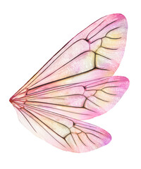 Png Fairy Wing Overlay 8 By ATP Textures © sharon