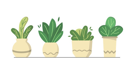 Set of hand drawn cute potted plant, indoor plant, home decoration plant illustration