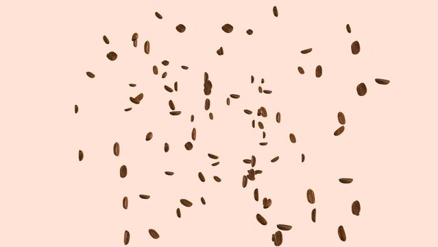 3D animation footage of abstract realistic coffee beans explosion. Transparent background video