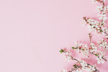 Spring concept with blossom fruit flowers on pink. Flat lay, top view.
