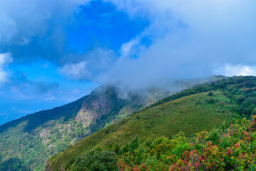 Top of the Doi Inthanon mountain of the Chiang Mai, Thailand