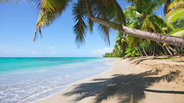 Calm turquoise ocean surface at the idyllic sandy beach of a tropical island with lush palms. Bright nature of the sea coast. Landscape of the picturesque One Foot Island. Palm tree shadow on the sand