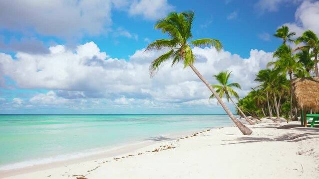 Landscape of an empty white sand beach and turquoise ocean. Beautiful coastline with tall palms. Idyllic Dominican beach, Punta Cana. Vacation on the world's best beaches. Paradise Palm Island.