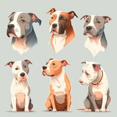 Bull Collection Of Emotions