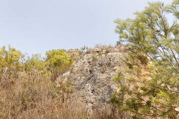 Bizarre  natural curves of rocks in the Carmel forest near Haifa city in northern Israel