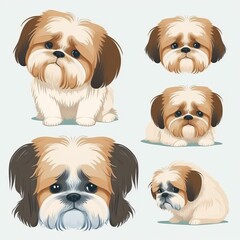 Lhasa Apso Collection Of Emotions