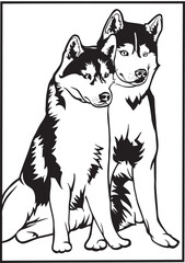 A pair of husky dog on a walk, husky dog vector. © Amirul