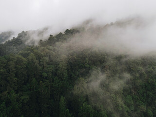 Aerial view of foggy forest landscape in Indonesia at sunrise.