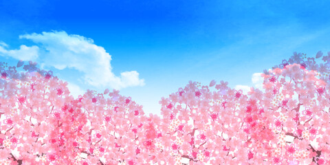 桜　空　風景　背景