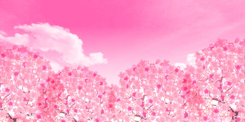 Fototapeta premium 桜 空 風景 背景