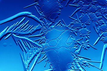 Drawings of ice on blue glass.