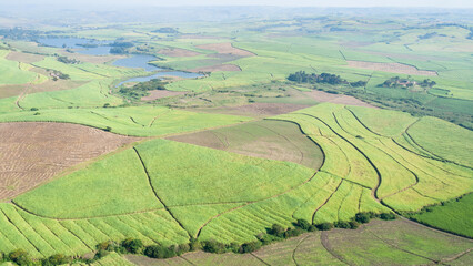 Flying Sugarcane Crops Farms Distant Dam Tropical Agriculture Aerial Landscape.