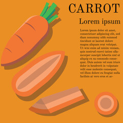 illustration of a set of carrot, orange, round , oval, slice, for banner, flyer, ads, brochure, power point,  uses
