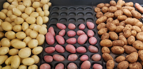 different varieties of potatoes for sale