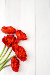 Plakat Bouquet of red tulips on a light wooden background. Copy space