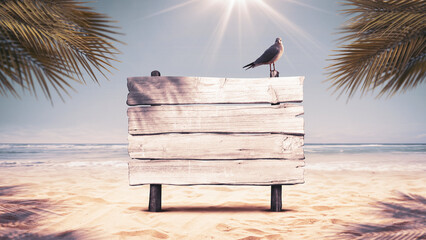 Wooden sign and seagull on the beach