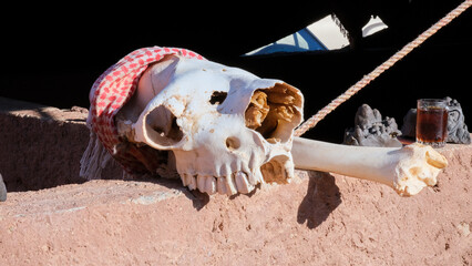 Camel skull and bones in Bedouin camp tent in Arabian Wadi Rum desert, Jordan, Middle East 