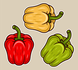 Bell peppers in various colors, red, yellow, green vector illustration on light background