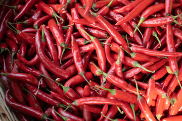 Fresh raw red hot chilli peppers