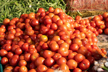 Delicious red tomatoes. Summer tray market agriculture farm full of organic vegetables. 