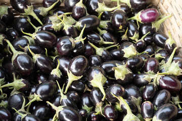 a heap of Brinjal (egg fruit, aubergine, Solanum melongena) for sale in a vegetable market. Overhead composition. Mandi market system in India