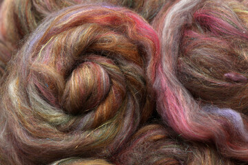 Stunning natural sheep wool fibres rolled up in a roving which has been made out of an art batt for hand spinning yarn on a spinning wheel.