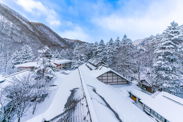 Fototapeta premium snow-covered trees in the park, heavy snow at Heike No Sato Village in Tochigi Prefecture, Nikko City, JAPAN