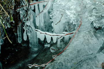 Macro landscape of ice structures with flora (a small branch) traped in the frozen water of a creek. Spectacular microcosmos. La Robine sur Galabre, Alpes-de-Haute-Provence, France.