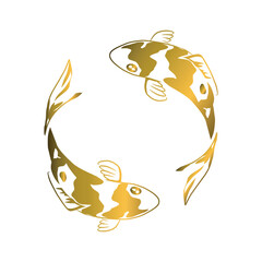 Gold koi fishes swimming around, hand drawn vector illustration.