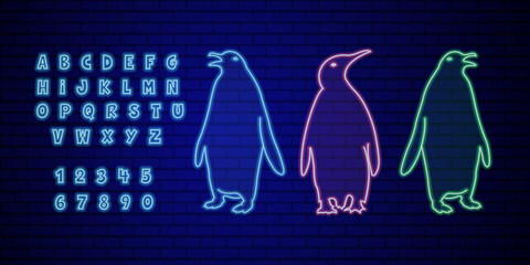 Blue, pink, green Penguin birds and alphabet neon light sign vector. Glowing bright icon penguin bird sign. © Meowcher24