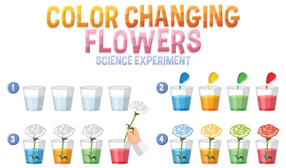 Color changing flowers science experiment